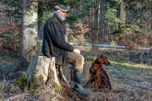 Можеби ви расте под нозете, а не сте ни свесни: Оваа ретка печурка вреди вистинско богатство