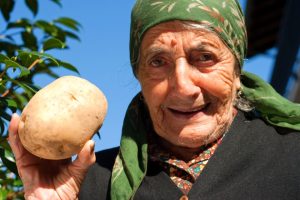 Трикот на Бранка за компир штеди часови работа: Земјата останува мека, а родот никогаш поголем