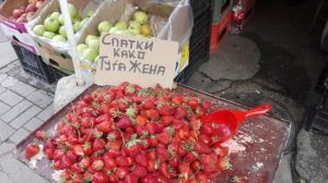 КАКО ДА СЕ ОД ЗЛАТО: Цената на јагодите вивна во небо, производителите очајни – „Што ќе ни даде Бог“